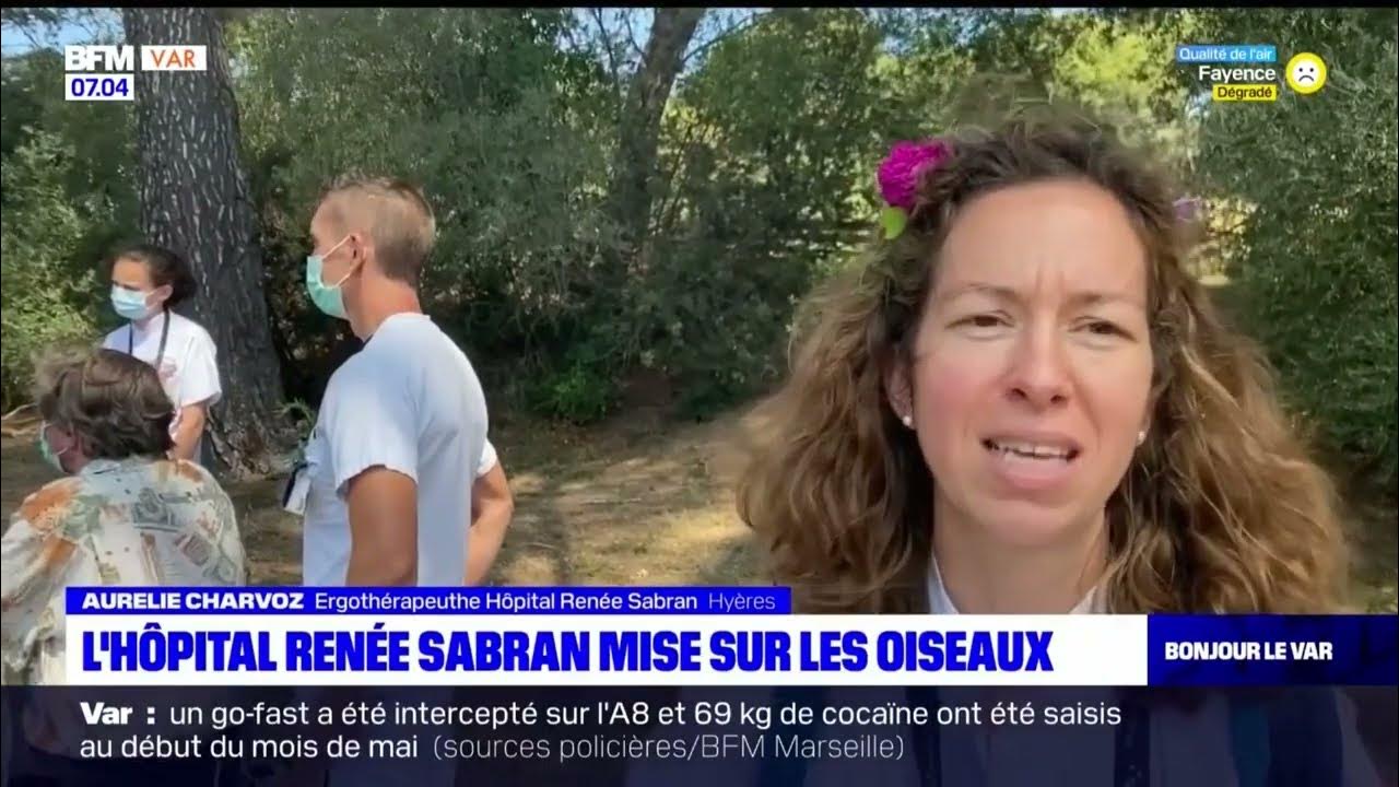 Hyères l'hôpital Renée Sabran labellisé pour la protection des oiseaux BFM VAR HCL YouTube