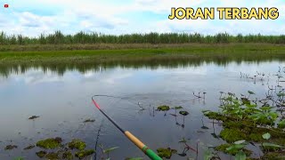 Download Lagu Spot Gacor! Joran Sampai Melayang di Sambar nila babon MP3