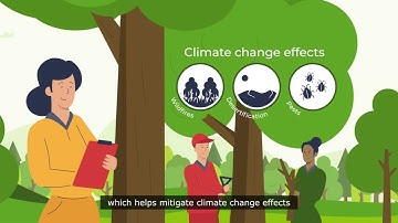 Bioenergy & Sustainable Forest Management