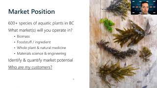 Growing a Successful Seaweed Business - Business and Tax Strategies for New Seaweed Farmers - MNP