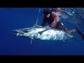 PESCA SUBMARINA EN CANARIAS | VIDA PIRATA | ARIDANE SANTANA