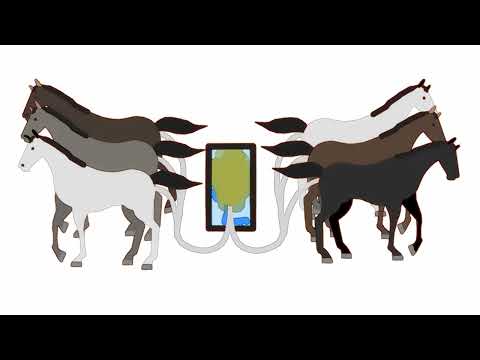 horse fart animation, guy trapped in box of horse farts extended