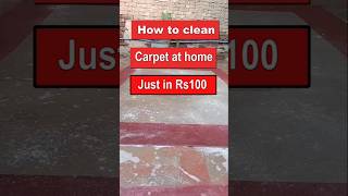 How To Clean Carpet At Home  Carpet Cleaning Skills Insider