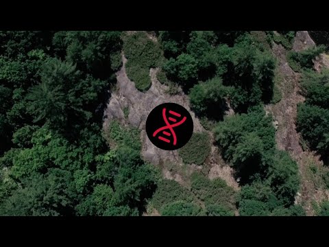 The Halluci Nation