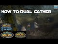 How to Dual Gather in WoW Classic, TBC Classic, and WotLK Classic