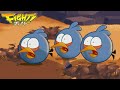 Angry Birds Fight Walkthrough iOS Android Angry Birds Fight Walkthrough iOS Android