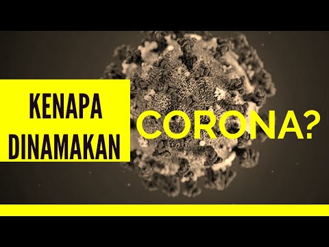 apa-itu-virus-corona?