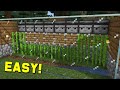 Easiest Sugarcane Farm Minecraft 1.17 - Automatic and Fast to Build | 2 minute tuts ep. 2