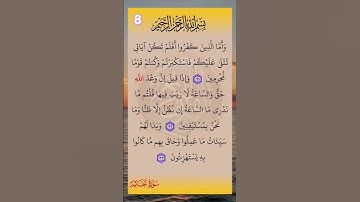 سورة الجاثية صلاح بو خاطر المصحف المعلم