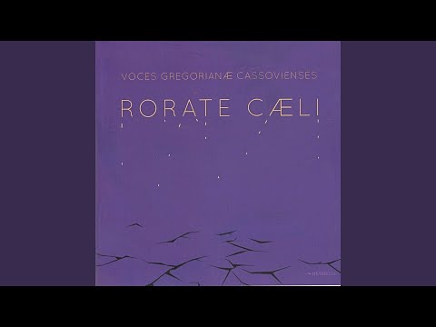 Ecce dominus veniet