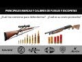 Fusiles y escopetas. Principales marcas, calibres y su precio en Argentina.