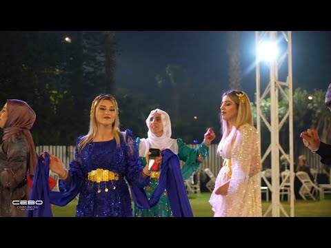 DOĞAN IŞIK ÇUM ÇELÊ