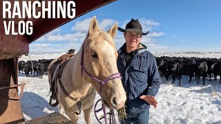 From California Dreamin' to Wyoming Ranchin'