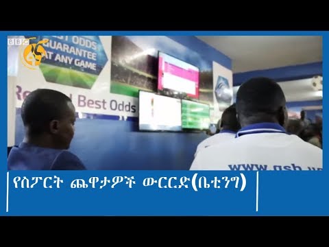 ቪዲዮ: አርክቴክት ውርርድ