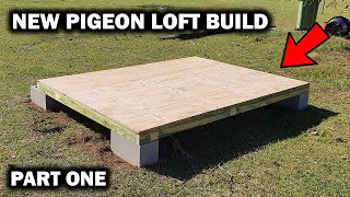 NEW RACING PIGEON LOFT BUILD  Pt One