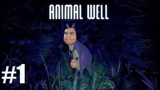 Animal Well #1: The Lasagna of Games
