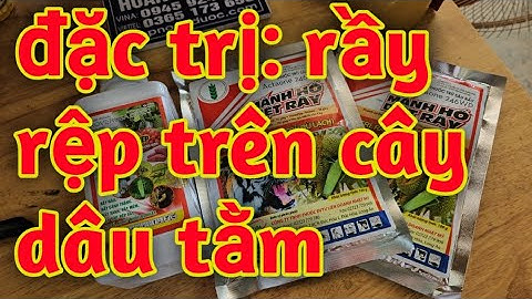 thuốc đặc trị rầy rệp bọ trĩ chích hút bọ nhảy trên cây dâu tằm. Hoàng Dương 53