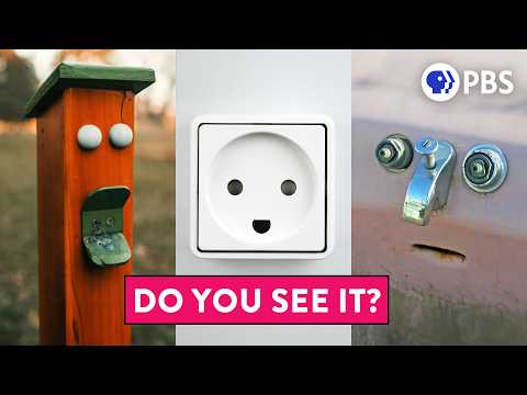 Why You See