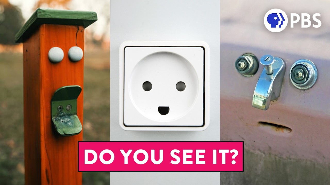 ⁣Why You See Faces in Things
