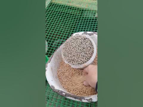 Корм для месячных цыплят бройлеров . - YouTube