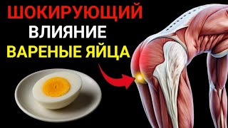 Что происходит с вашим организмом, если вы едите 2 яйца каждый день?