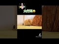 うさぎさんの大行列😂