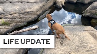 Life Update Video While On A Walk with Cooper on Belle Isle