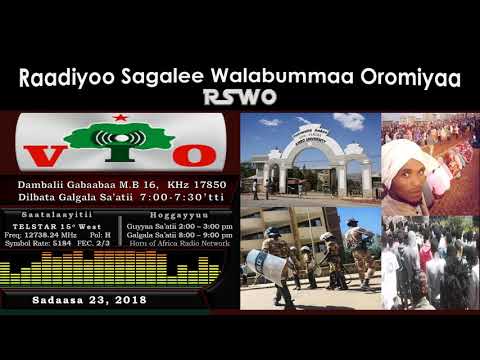RSWO Sadaasa 23 2018 Lola Oromoota Lixa Oromiyaa Aanaa Haroo Limmuu Rratti Banamee Jiru