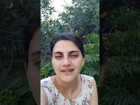 Video: Rəsm sözü ilə necə cümlə qurmaq olar?