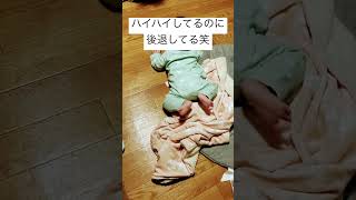 ハイハイしてるのに後退してる笑　#shorts  #赤ちゃん