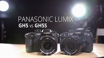 The Panasonic Lumix GH5s vs the GH5 (Sponsored)