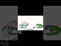 🇮🇱:stop! #shorts #video #trending #flipaclip #countryballs #animation #freepalestine