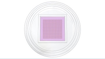 Cell Microsystems - CellRaft AIR® System Animation
