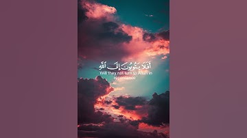 تلاوة سورة المائدة🖤القارئ عبد الرحمن مسعد 🖤
