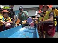 「がんばって大きくなってね」園児がマダイ稚魚を放流 ３年で約30センチに成長へ（静岡・焼津市）