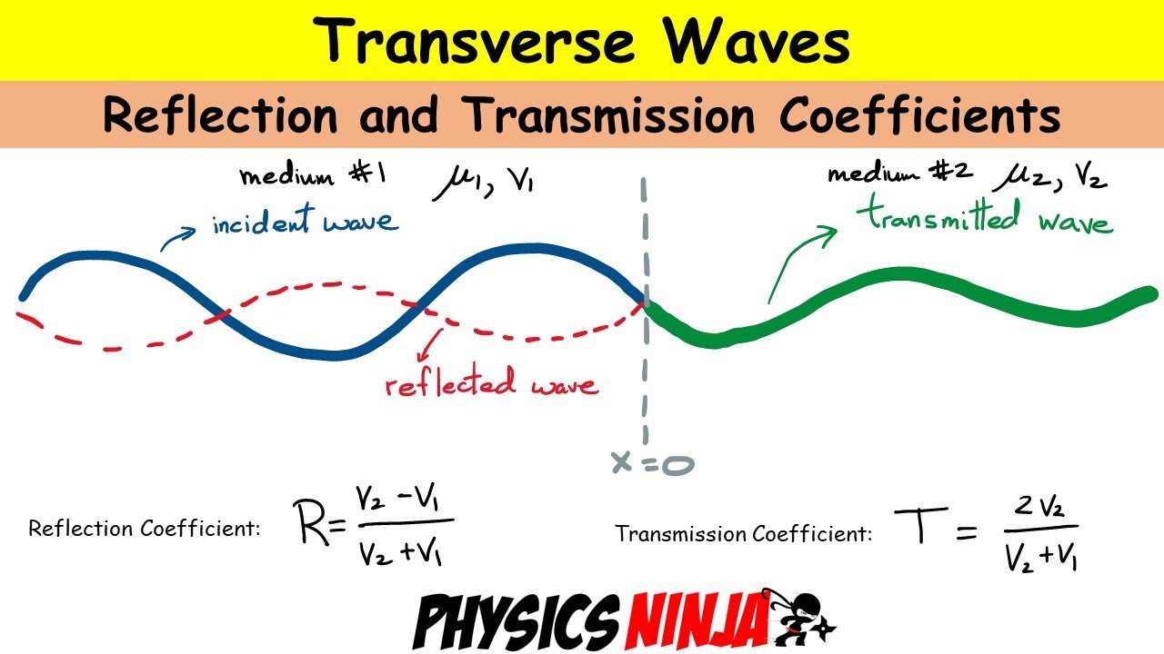 Reflection And Transmission Of Transverse Waves YouTube