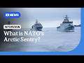 What's motivating NATO's Arctic Sentry? | ABC NEWS