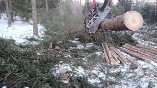 Komatsu 901xc cut big trees with c93