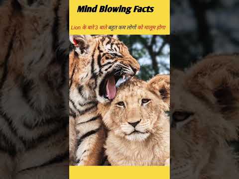 Mind blowing facts