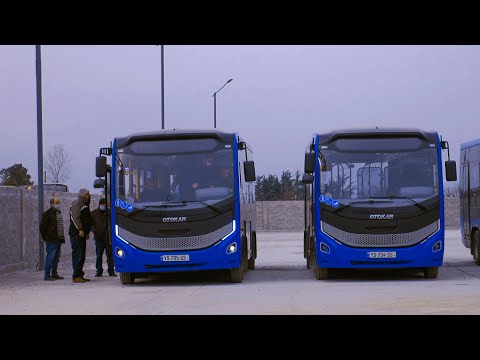რა კეთდება თელავში მუნიციპალური ტრანსპორტის ასამუშავებლად