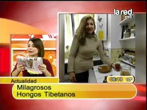 el pomelo sirve para adelgazar yahoo el pomelo sirve para adelgazar yahoo