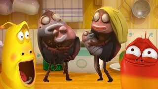 larva browns new family cartoons for children larva official