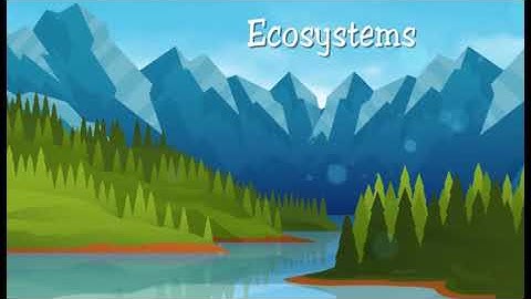 Module 2 Video 1 Ecosystems
