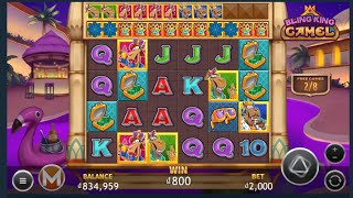 MASSIVE WIN on BLING KING CAMEL - 4 SCATTERS #king #gaming #crypto #slot #casino #vpn #money #cash screenshot 3
