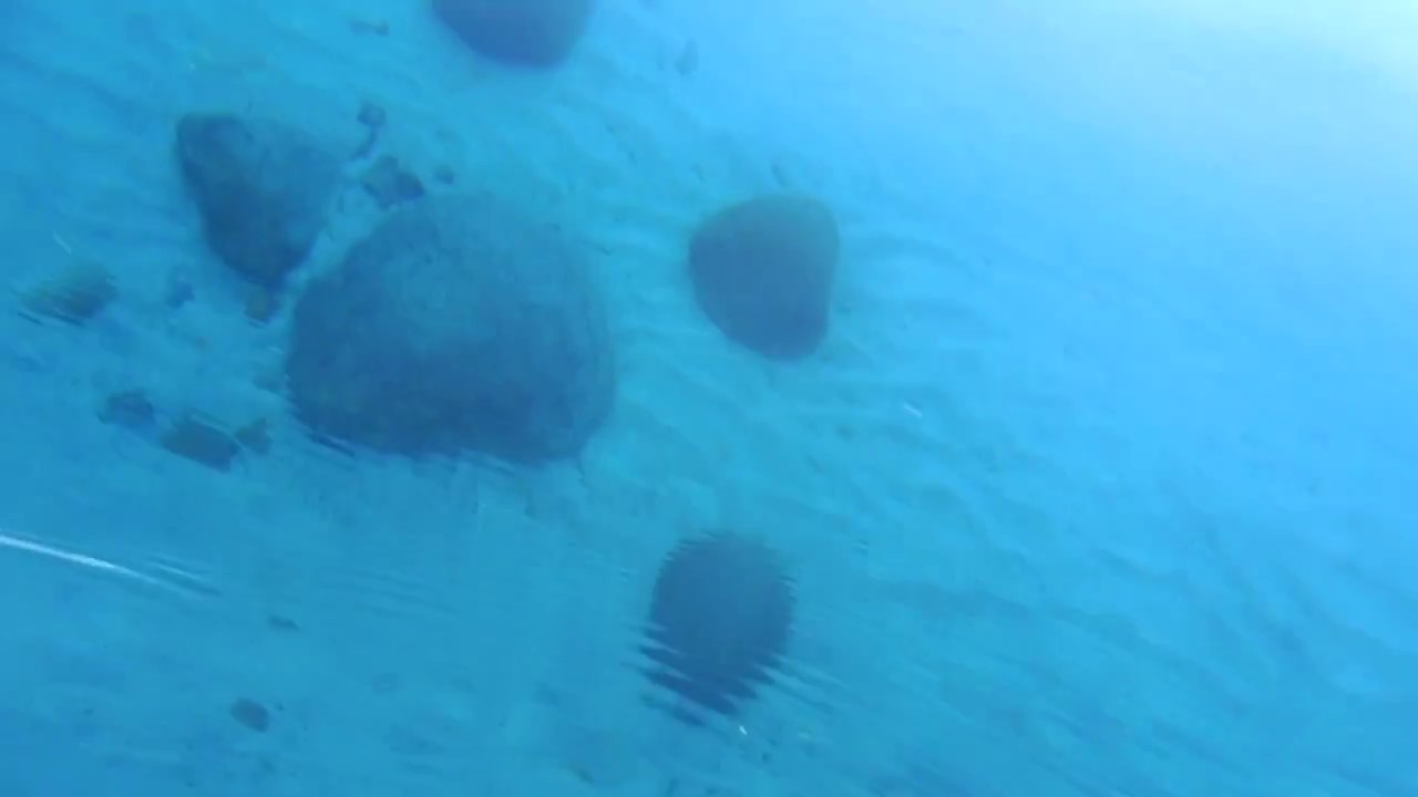 Clear Water - YouTube