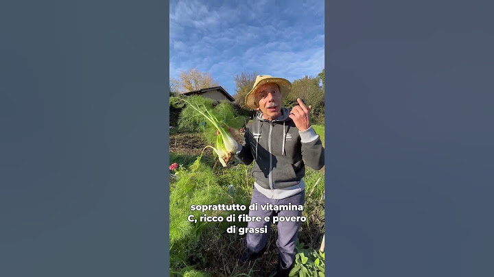 Il finocchio🤣🥬