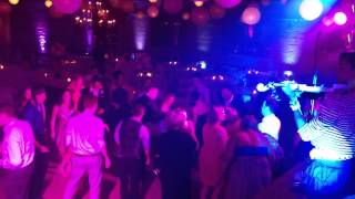 dj Violin wedding fun