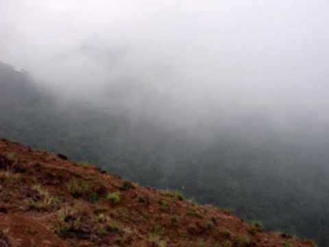 Kodachadri Trek video