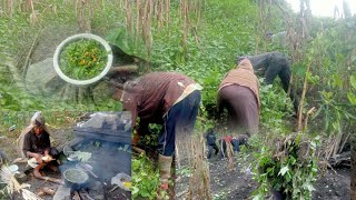 villagers clearing process of Kolar kidney beans khedi|| poor village life||