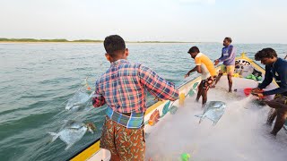 அதிர்ஷ்டமாக கிடைத்த ஐ வாவல் மற்றும் சில்வர் வாவல் மீன்கள்